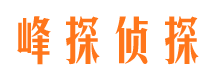 连平找人公司